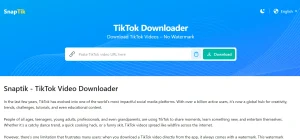 Cara Download Video TikTok Langsung ke Flashdisk